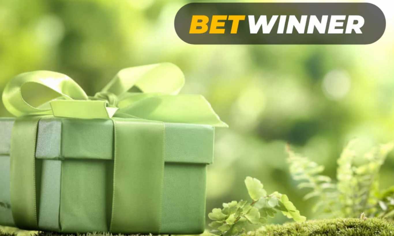 BetWinner review in India BetWinner review in India